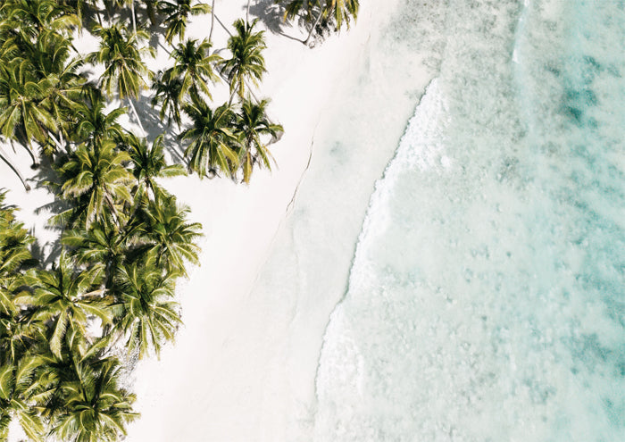Beach Meets Palms