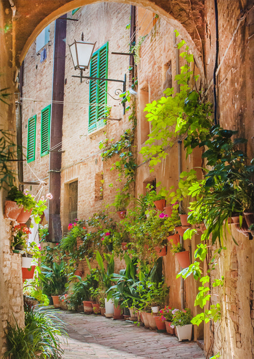 Springtime in the Old City 2