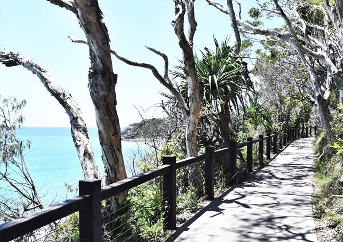 Whispers of Noosa