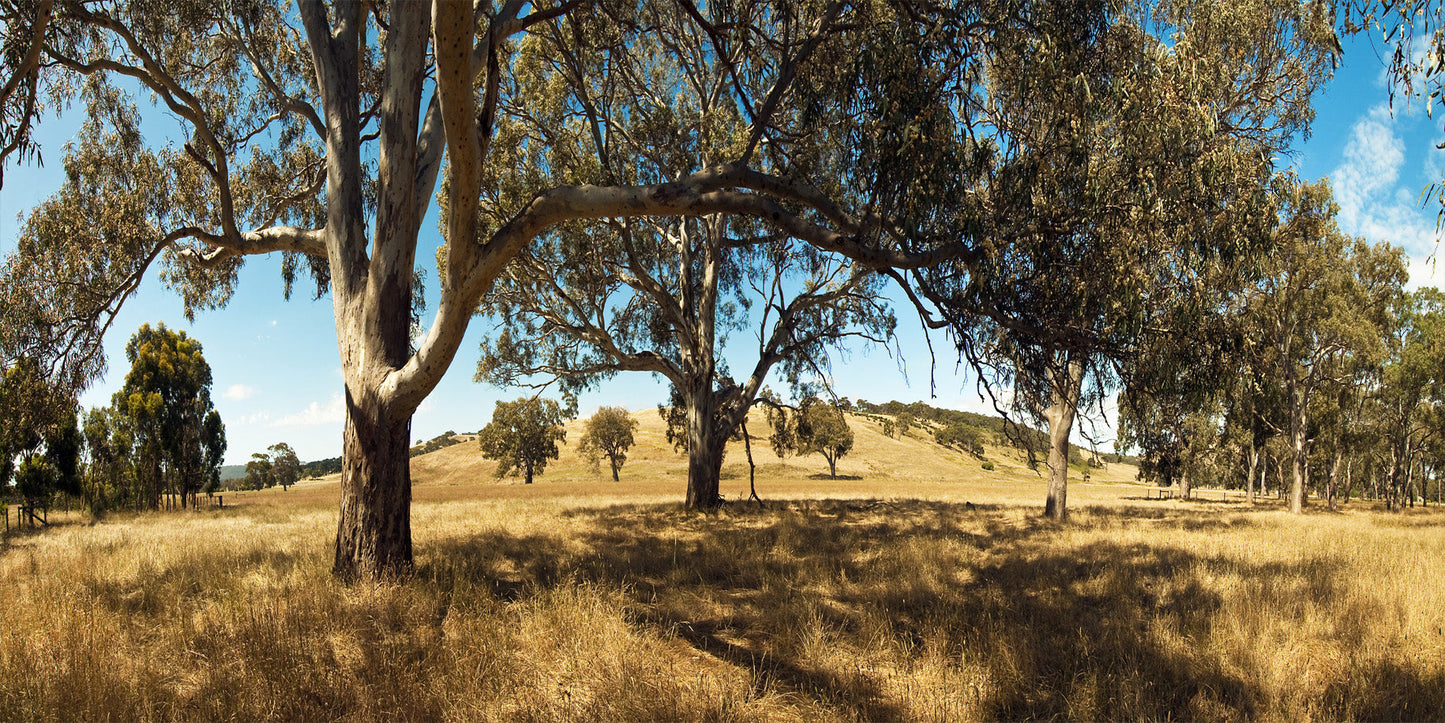 Outback Serenity