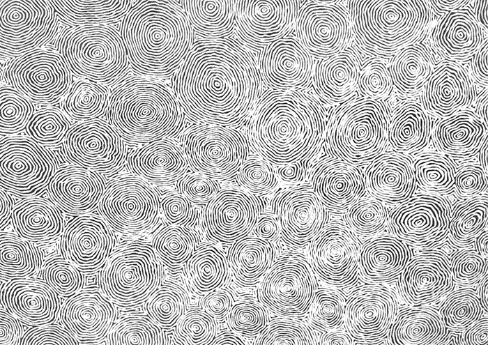 Dry Waterholes Edition 1 - Monochromatic