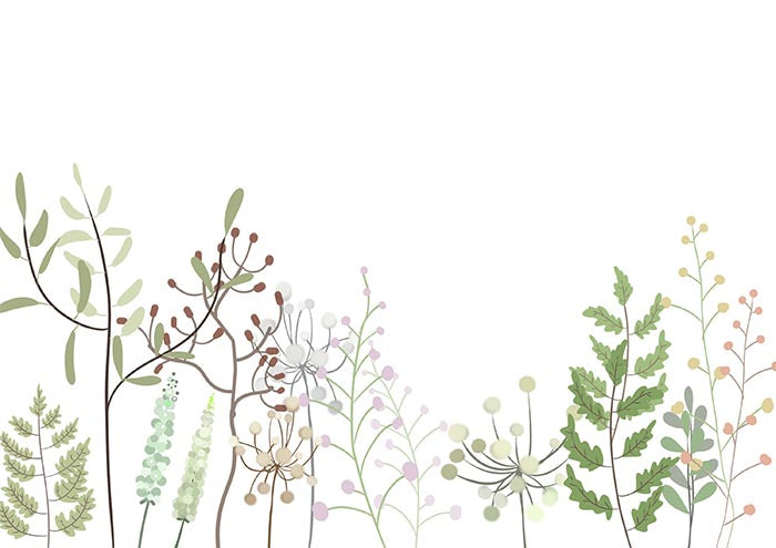 Botanicals
