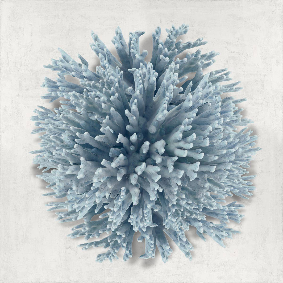 Coral Blue I