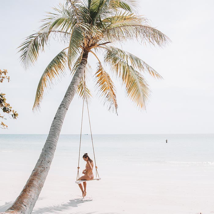 Palm Swings Beach