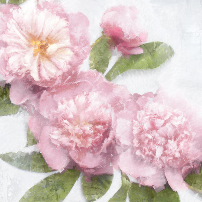 Pink Bloom I