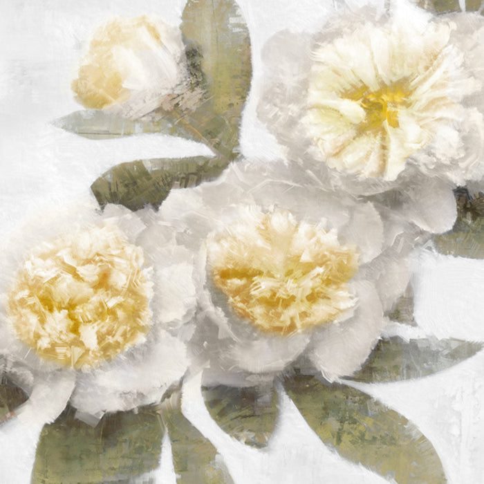 Ivory Bloom