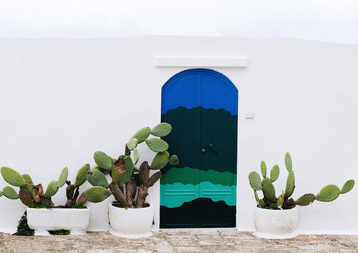 Mediterranean 6