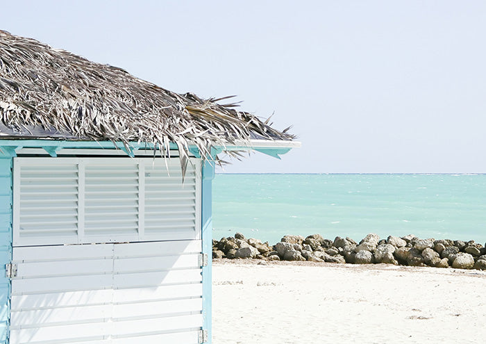 Grass Shack on Beach 1