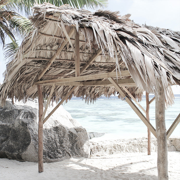 Grass Shack on Beach 4