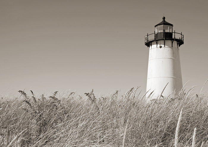 White Lighthouse in Tall Grass