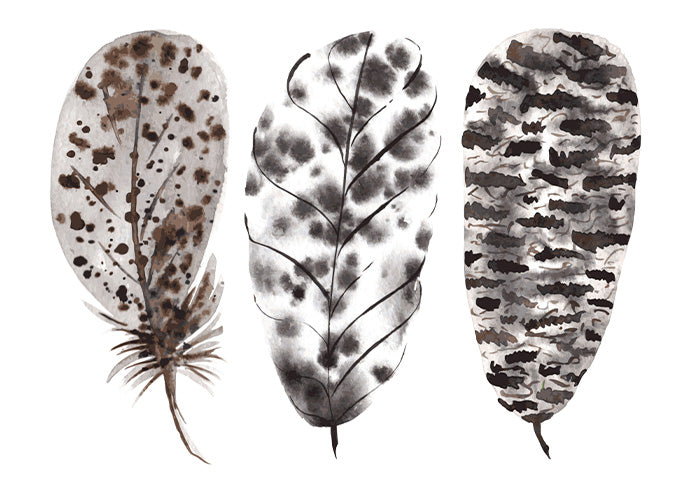 Feathers Together