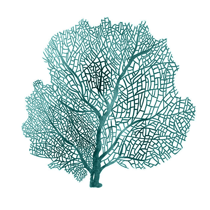 Coral III Teal