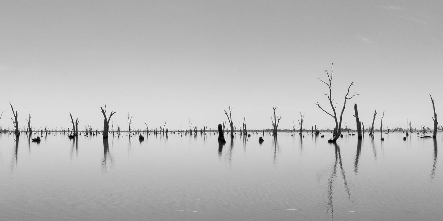 Mirrored Lake Panoramic