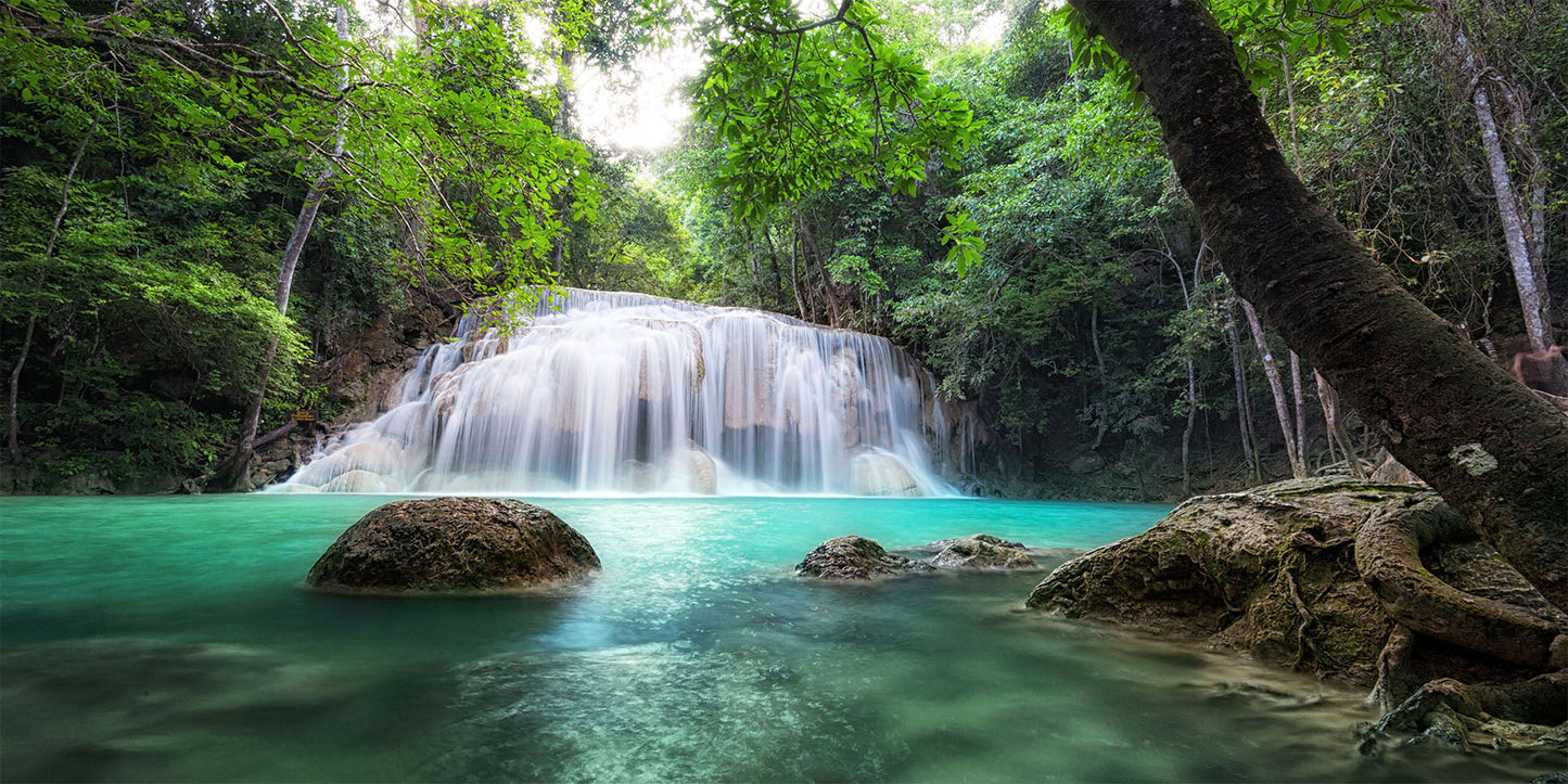 Forest Waterfall