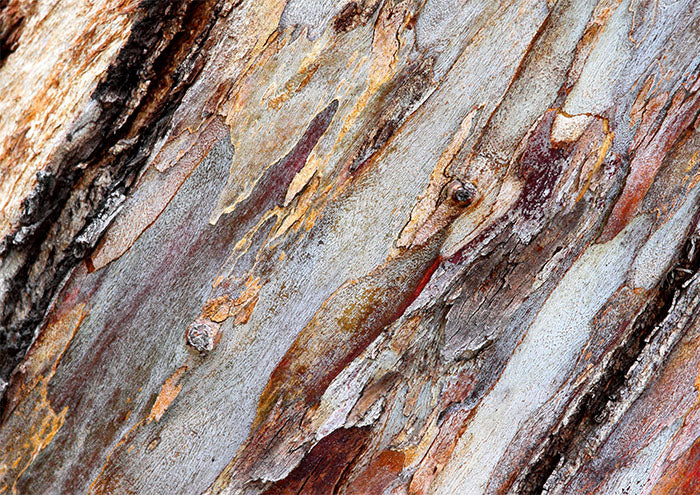 Bark on Diagonal