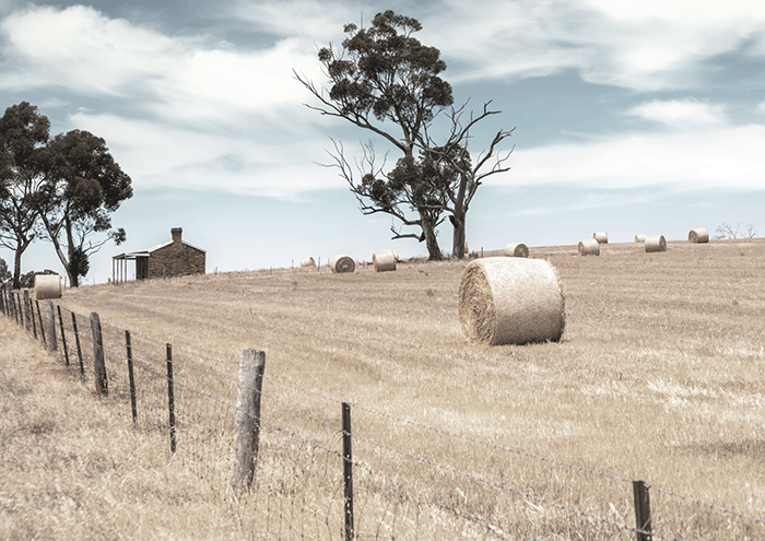Hay Bail Fields