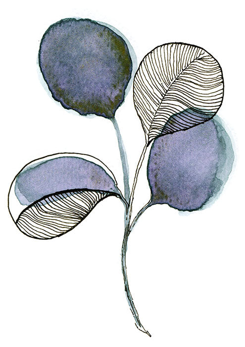 4 Leaf Botanical