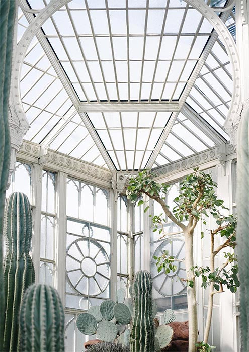 Plant Atrium