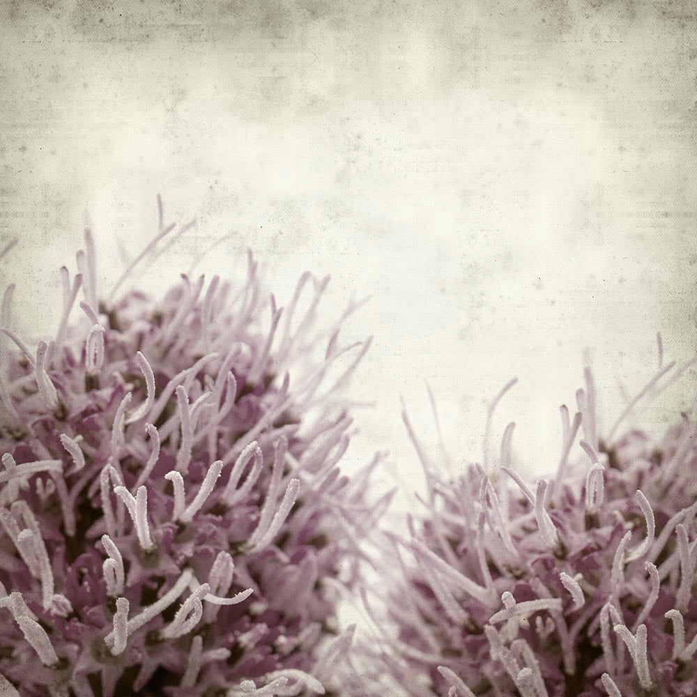 Textured Floral 1