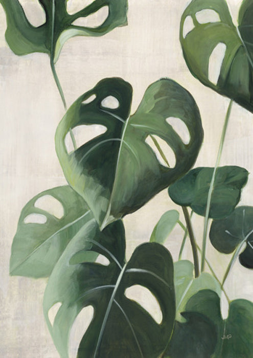 Tropical Study IV