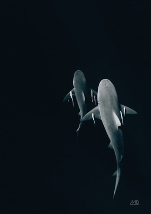 Above the Abyss