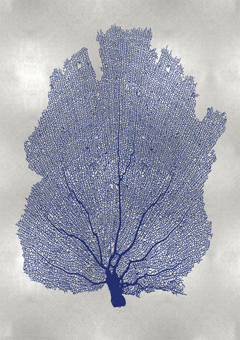 Sea Fan Indigo Blue I