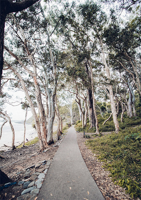 By The Bay