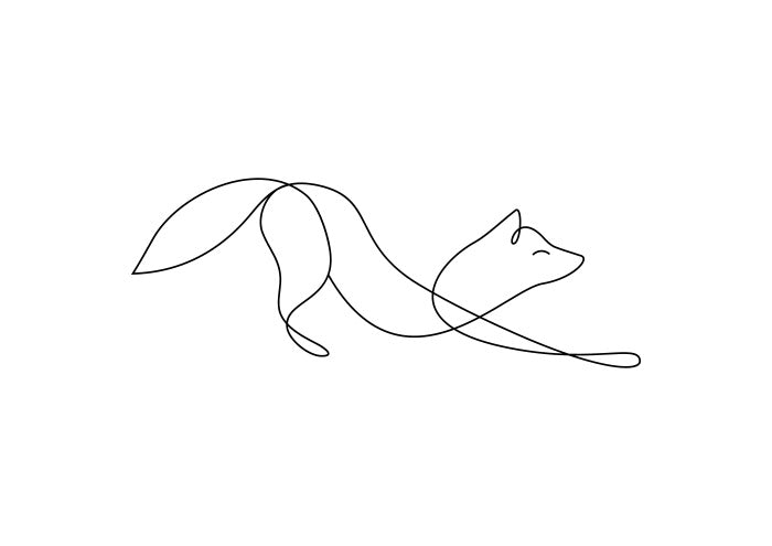 Contour Fox