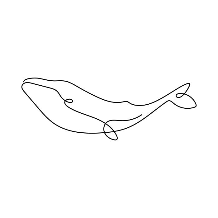 Contour Whale