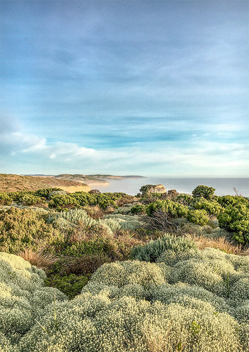 Great Ocean Road 3