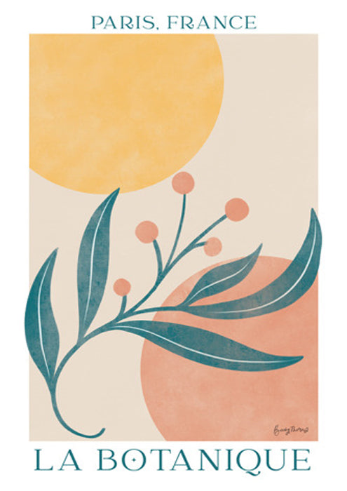 Botanical Poster IV