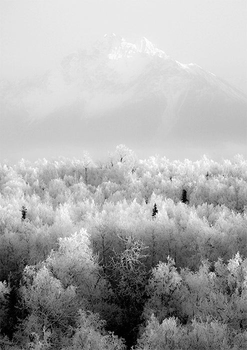 Pioneer Peak Usa