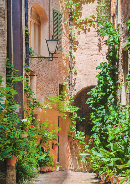 Springtime in the Old City 1