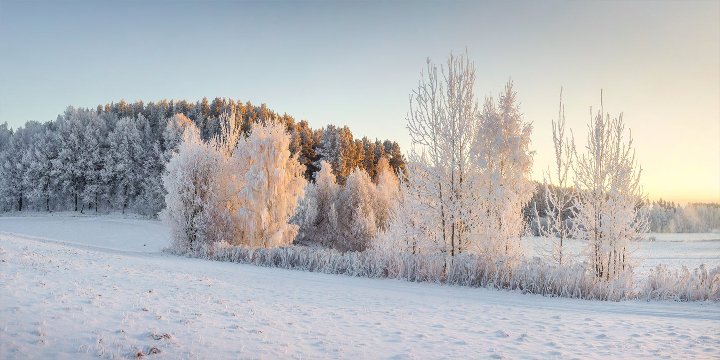 Winters Embrace