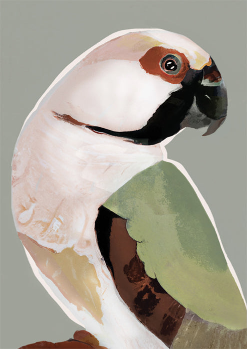 Neutral Parrot