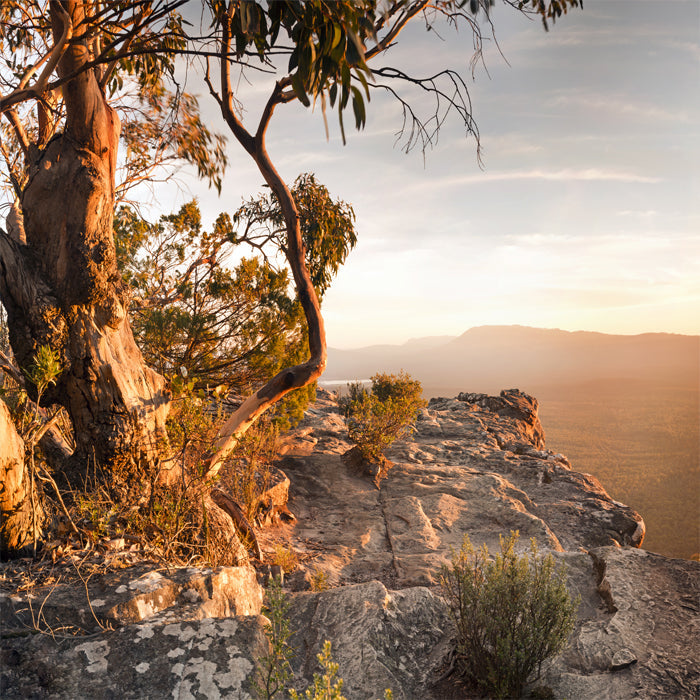 Grampians at Sunset