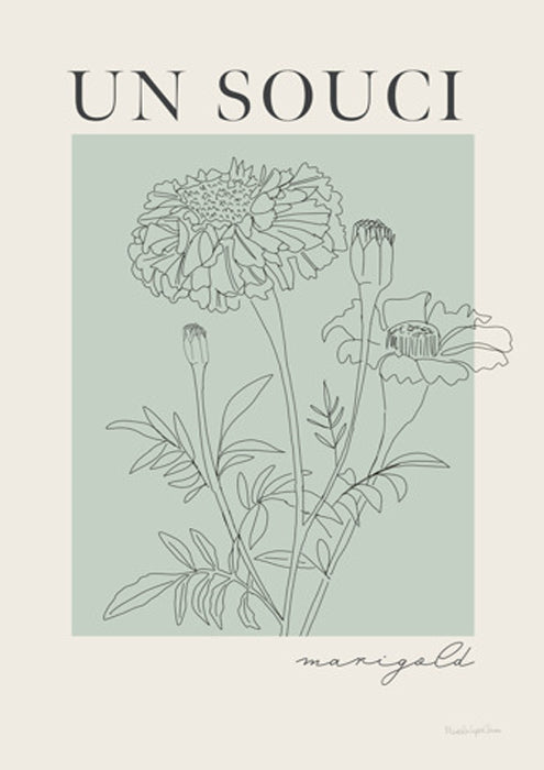 French Flower Poster II