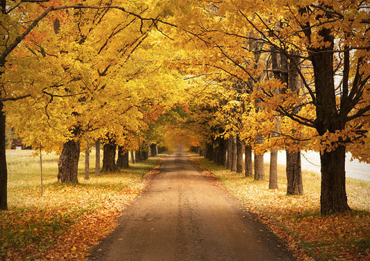 Autumn