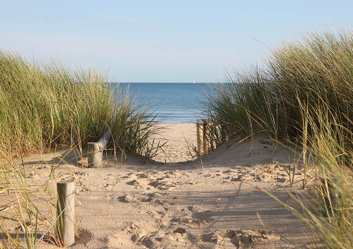 Beach Path 1