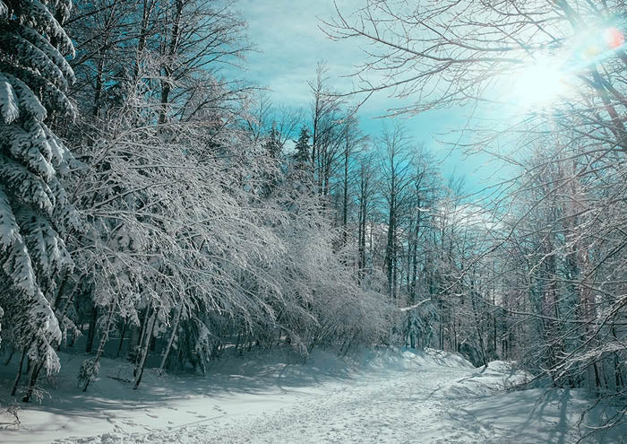 Blue Winter 2