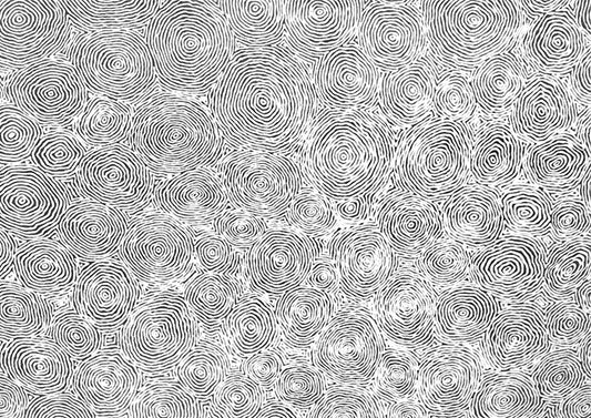 Dry Waterholes Edition 1 - Monochromatic
