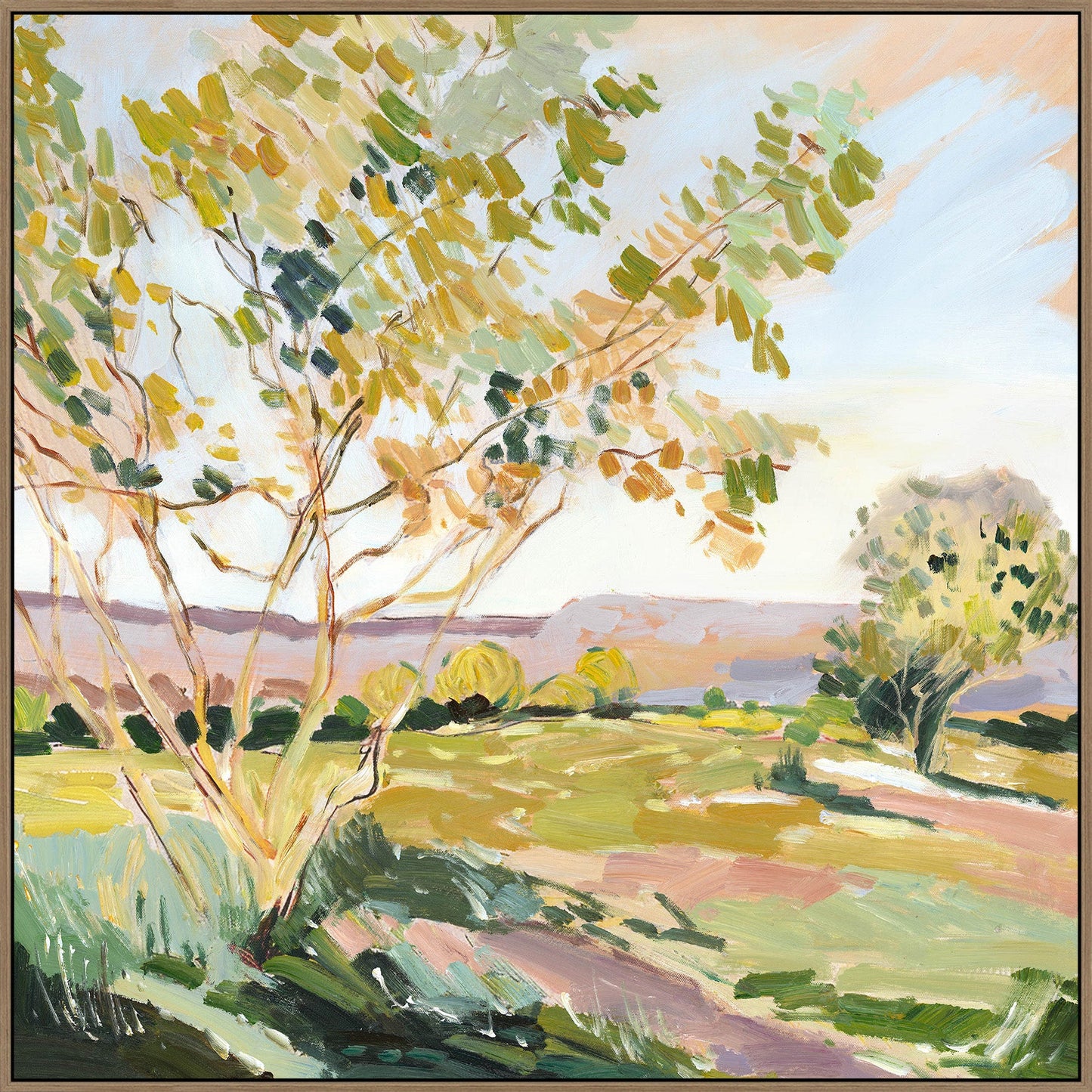 Barossa Breeze A
