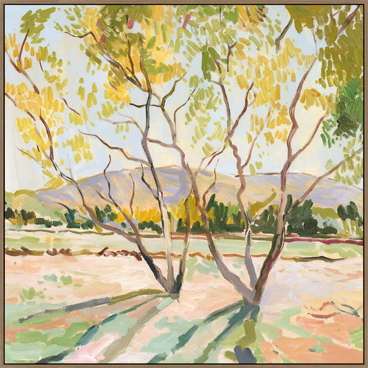 Barossa Breeze B