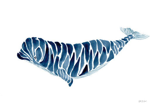 Beluga Whale