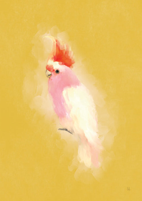 Bright Birds IV