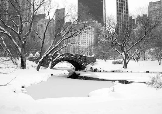 Central Park