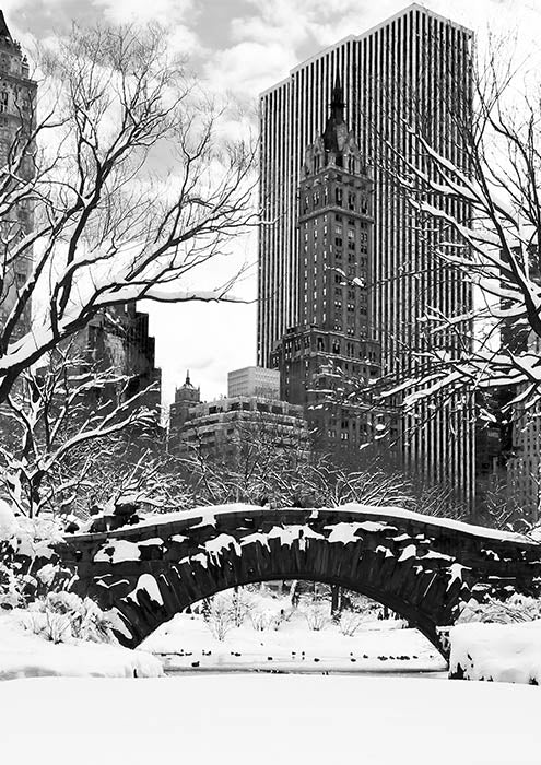 Central Park 2