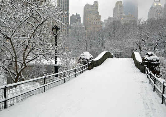 Central Park 3