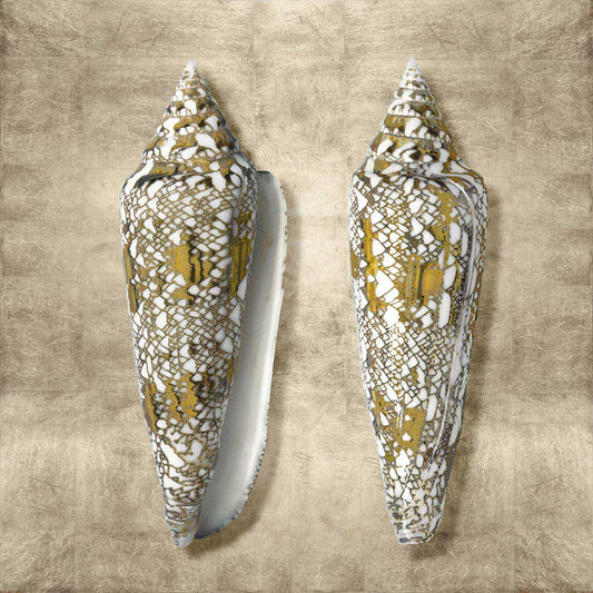 Golden Sea Life II