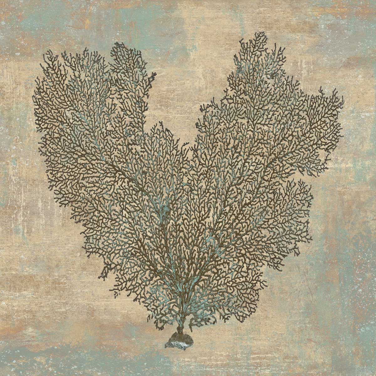Aqua Fan Coral